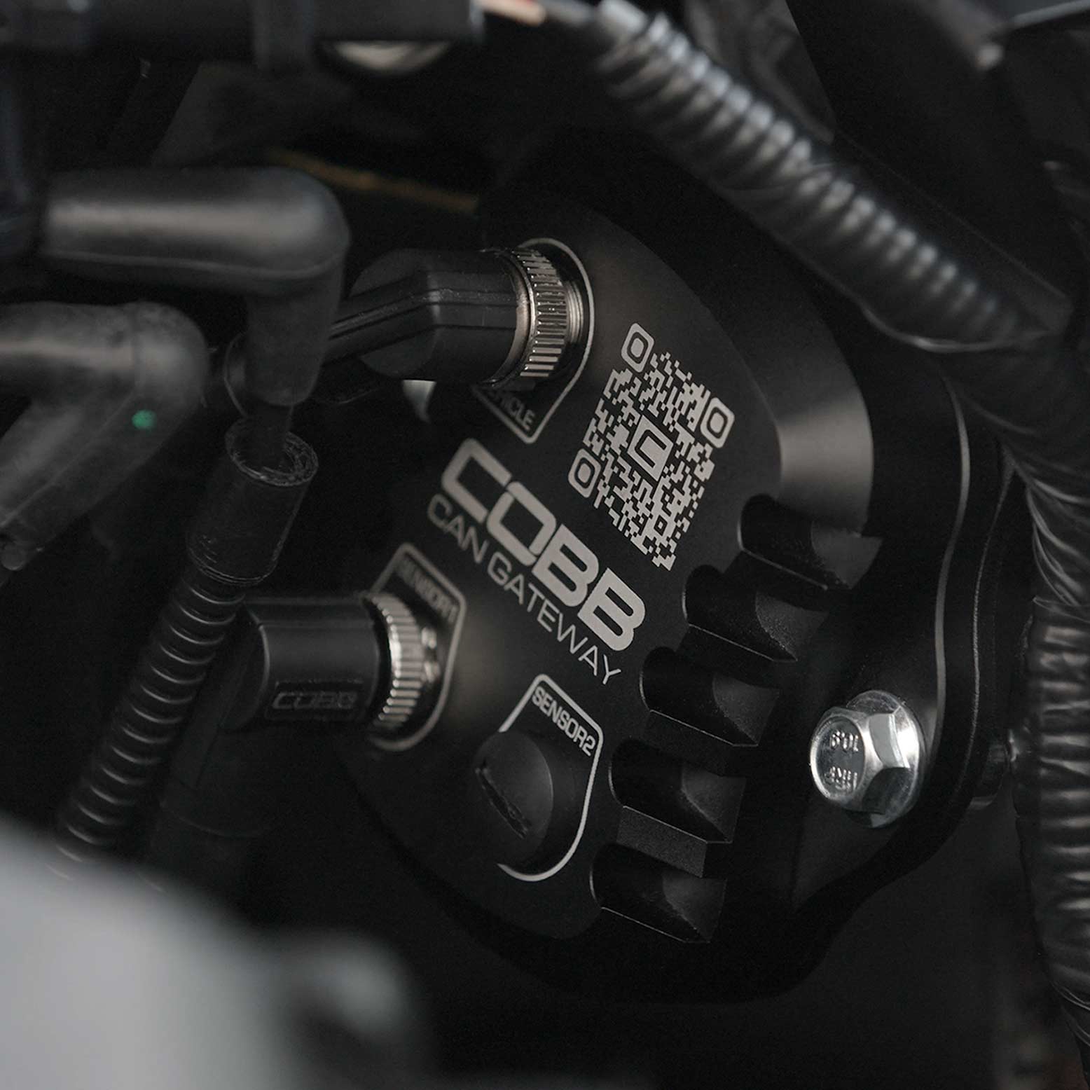 Ford Raptor Flex Fuel