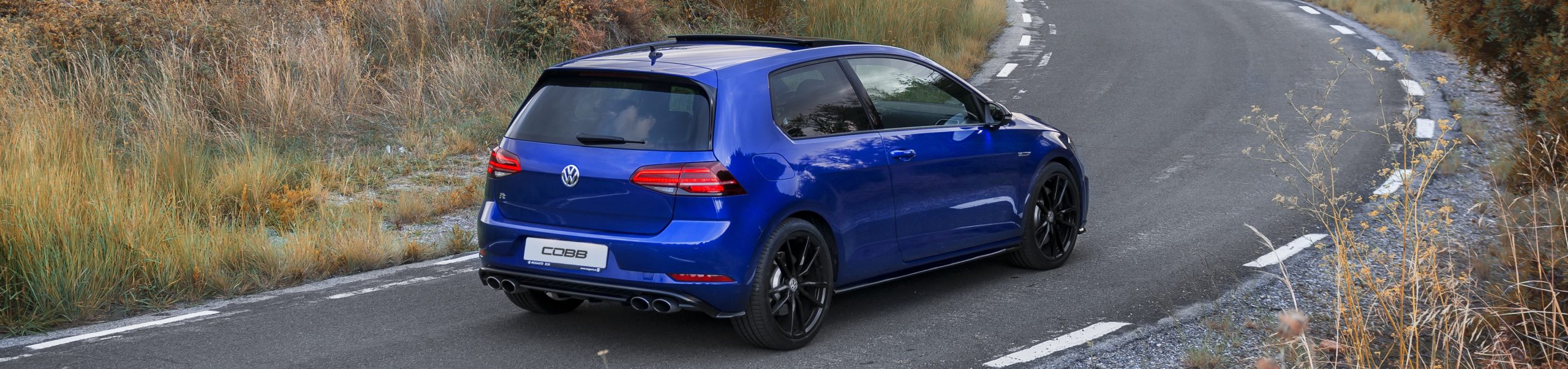 VW/Audi Flex Fuel
